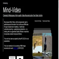 Mind Video