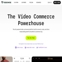Videowise