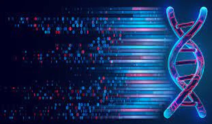 Unleashing the Power of AI: How Machine Learning Reveals Insights into Gene Activation