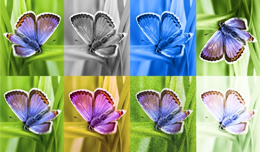 Google DeepMind Introduces SynthID, an AI-Generated Image Watermarking Tool to Detect AI-Created Content