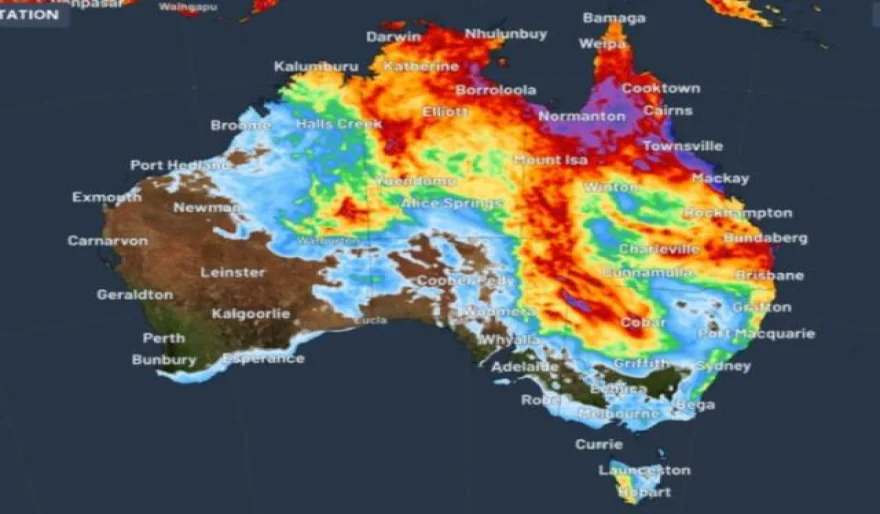 Vibrant Planet employs AI to map land and enhance climate resilience.